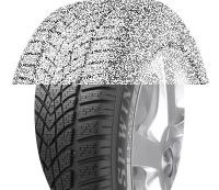 Dunlop SP Winter Sport 4D 255/50 R19 103V N0 BLK 3PMSF M+S