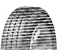 Michelin Agilis 81 215/70 R15C 109R EV Suitable