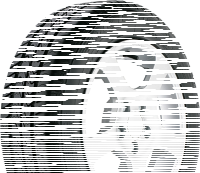 Debica Passio 2 155/65 R14 75T SL
