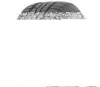 Sava Intensa HP 185/55 R14 80H SL