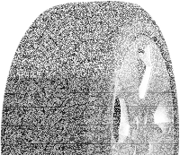Sava Eskimo HP 2 225/45 R17 91H SL 3PMSF M+S